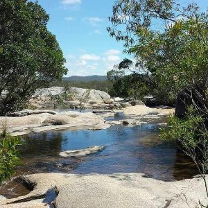 Granite Gorge Rock Wallabies in Mareeba
