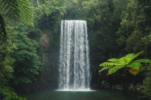Milla Milla Falls, Atherton Tablelands